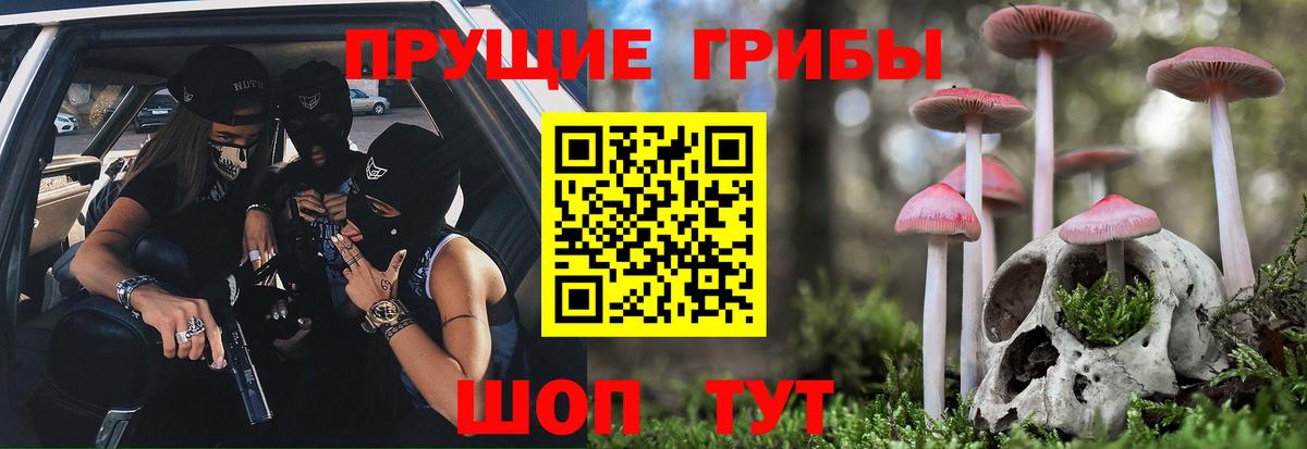 Псилоцибиновые грибы Psilocybine cubensis  Вход с VPN  Псилоцибиновые грибы Magic Shrooms  где найти   Гурьевск 